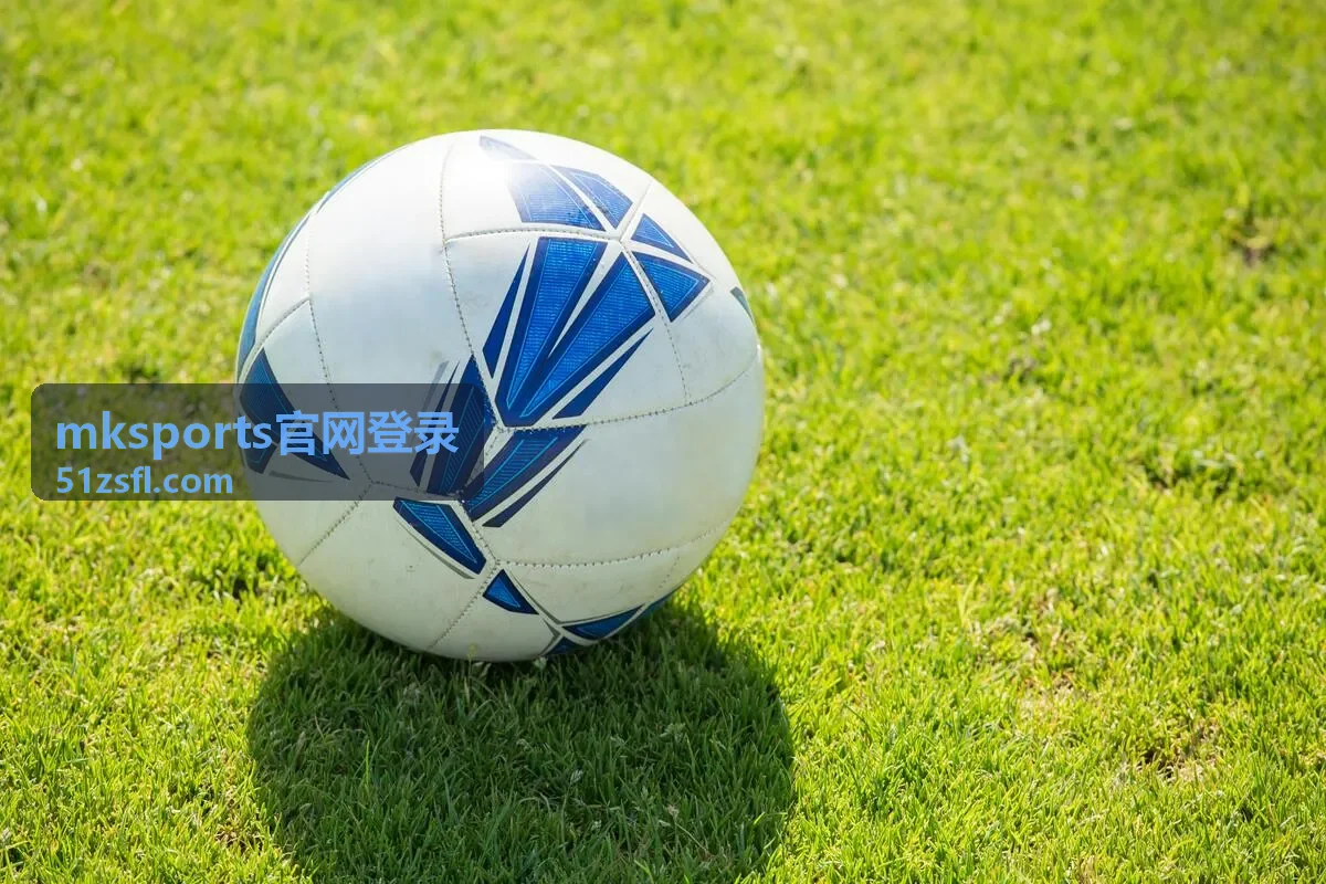 mksports官网登录账号安全中心背景图