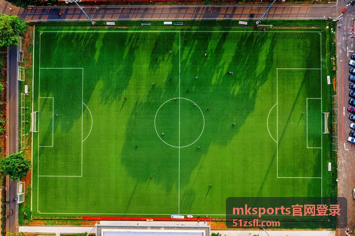 mksports官网登录密码管理实用技巧