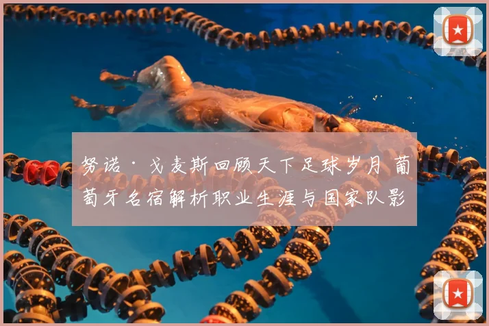 努诺·戈麦斯回顾天下足球岁月 葡萄牙名宿解析职业生涯与国家队影响