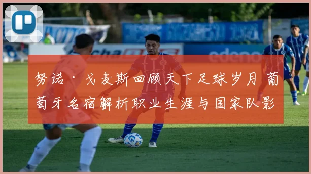 努诺·戈麦斯回顾天下足球岁月 葡萄牙名宿解析职业生涯与国家队影响