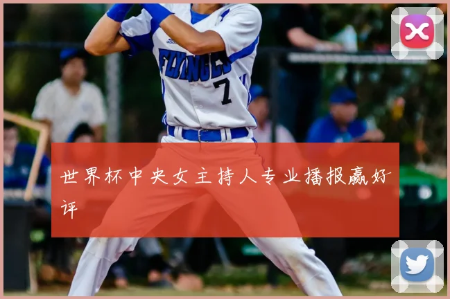 世界杯中央女主持人专业播报赢好评